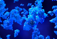 Load image into Gallery viewer, TRANSIL AGP Binding Kit