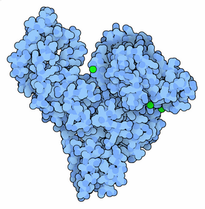 TRANSIL HSA Binding Kit